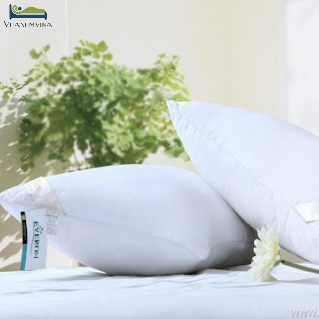 Ruột gối Everon Standard Soft